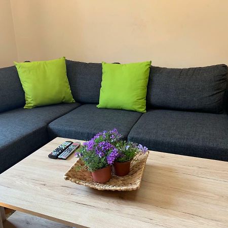 Stambolijski 26 Apartment 索菲亞 外观 照片