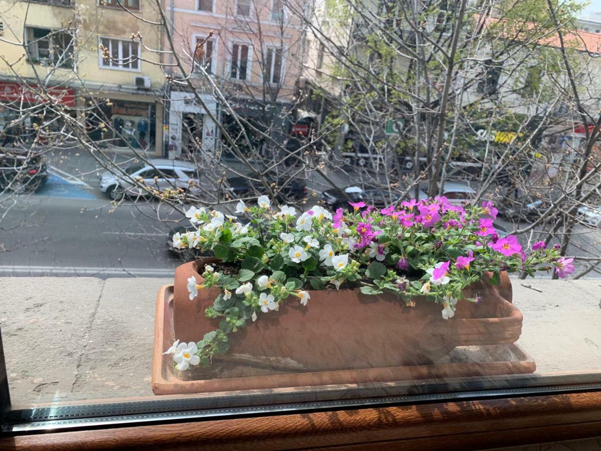 Stambolijski 26 Apartment 索菲亞 外观 照片